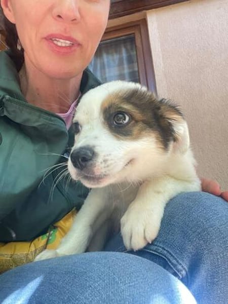 MURPHY wartet auf sein großes Glück