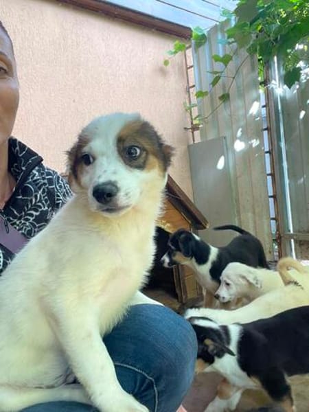 MURPHY wartet auf sein großes Glück