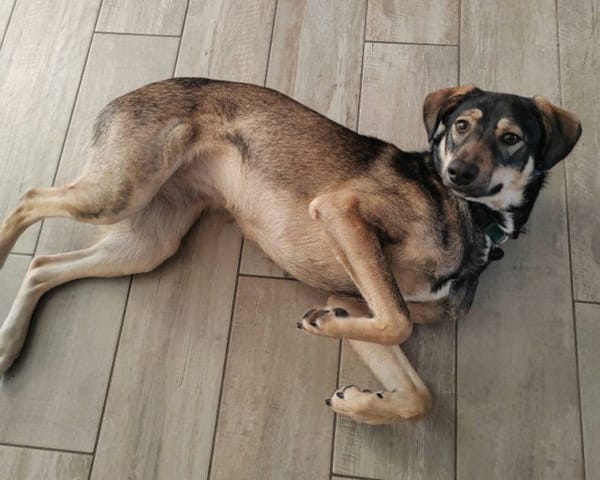 Skye