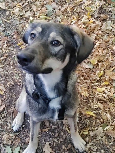 Skye