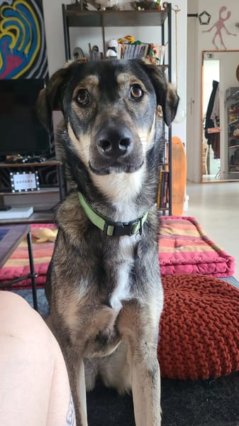 Skye