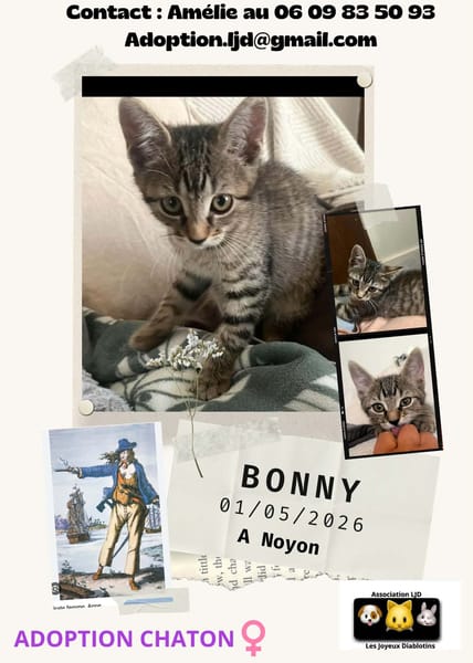 Bonny