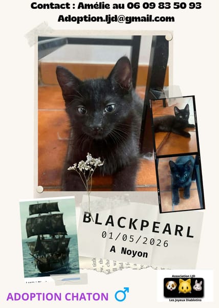Blackpearl