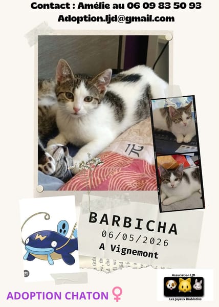 Barbicha