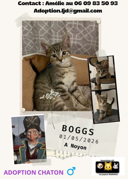 Boogs