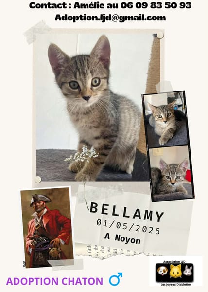 Bellamy