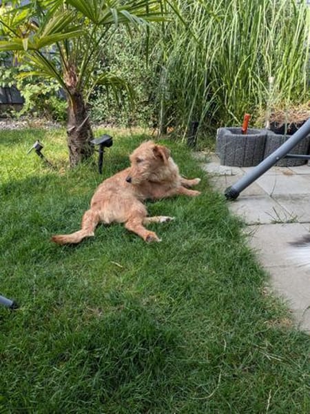 Judy sucht ihre Familie