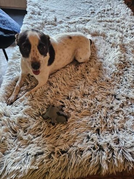 Sabine sucht ihre Familie ❤