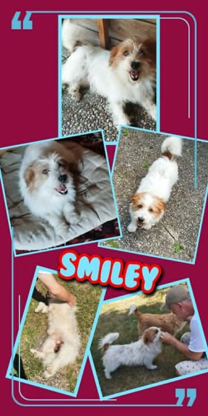 sehr lieber kleiner Smiley auf PS in 90562