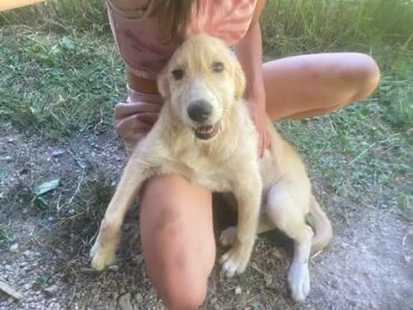 Zuhause gesucht für Eddy