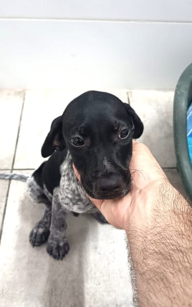 VALKO