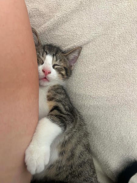 Tim