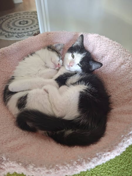 Ignace et Momo