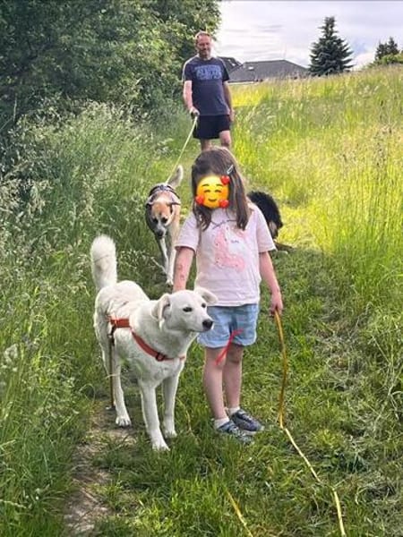 MELLORY ° Hündin mit sanftem Wesen sucht ihre Familie