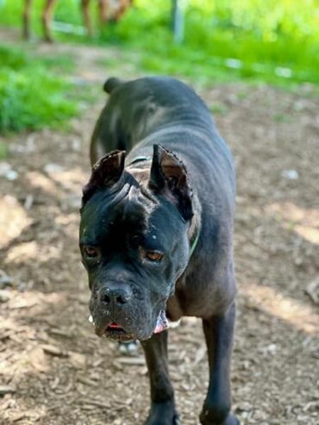 🐶 Besonderer Bono sucht Glück 🐶