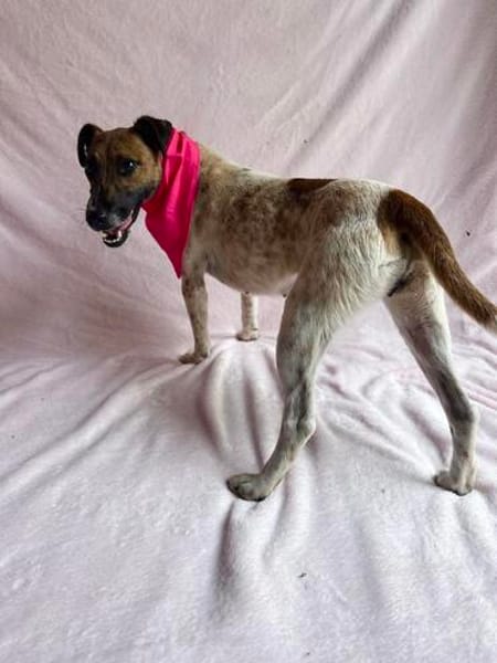 Zena -Fröhliche Abenteurerin auf der Suche nach ihrem Glück