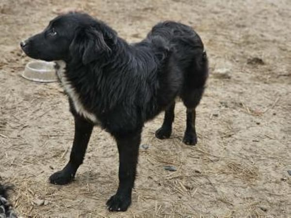 Schöne Saloni sucht liebevolle Menschen