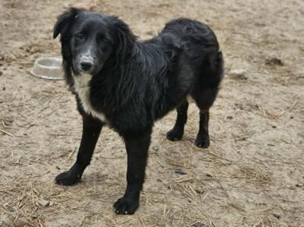 Schöne Saloni sucht liebevolle Menschen