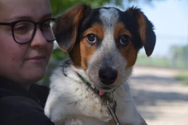 Mocca - liebenswert & verschmust