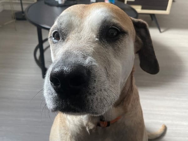 MILKA
