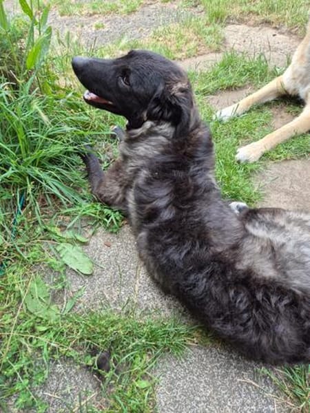 Lustige Betti sucht dich