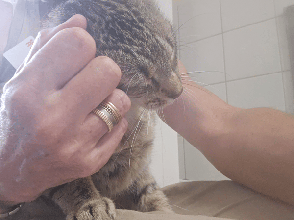 Maïa