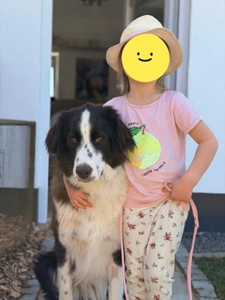 Mara, kinderlieb, sehr sozial, katzenverträglich