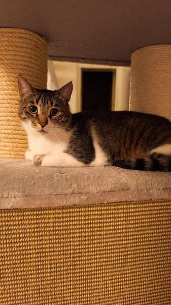 Die Brüder Tito und Toto Fiv+, unser DreamTeam