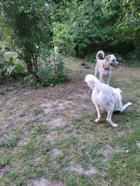 Wunderhübsche, liebe Tilda