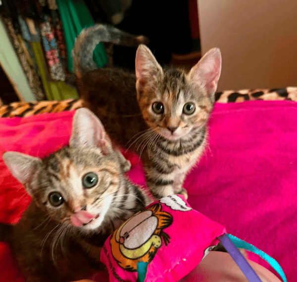 Tibby and Libby