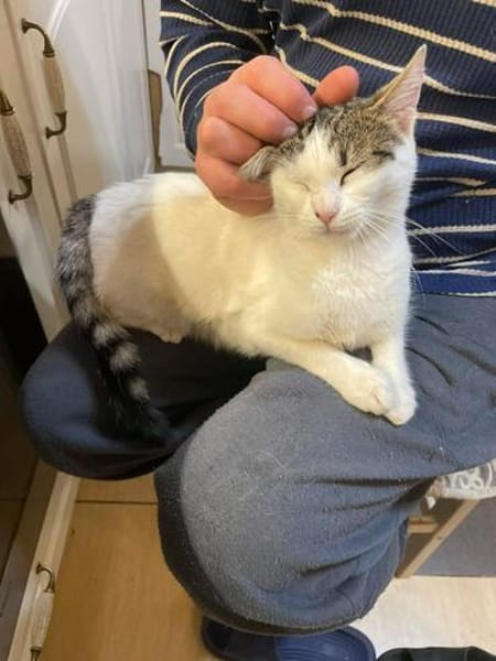 Latte sucht ihren Dosenöffner