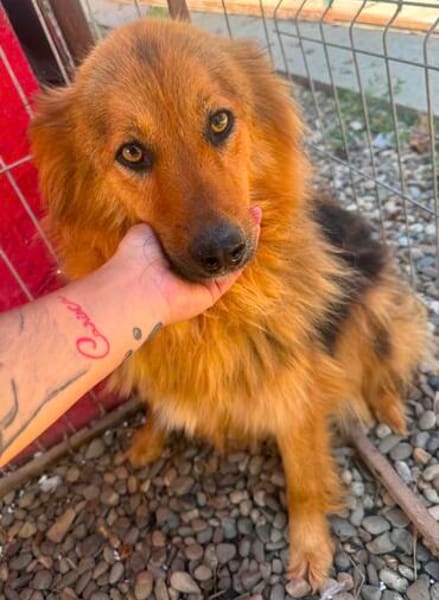 Liebe Mogli auf der Suche nach Dir / Bei München