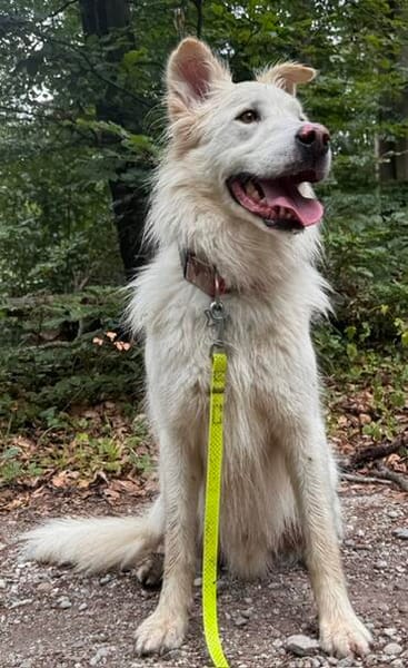 Knut sucht seinen Deckel/ wartet in 82284