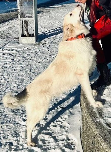 Knut sucht seinen Deckel/ wartet in 82284