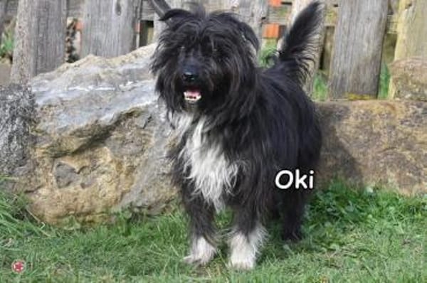 OKI