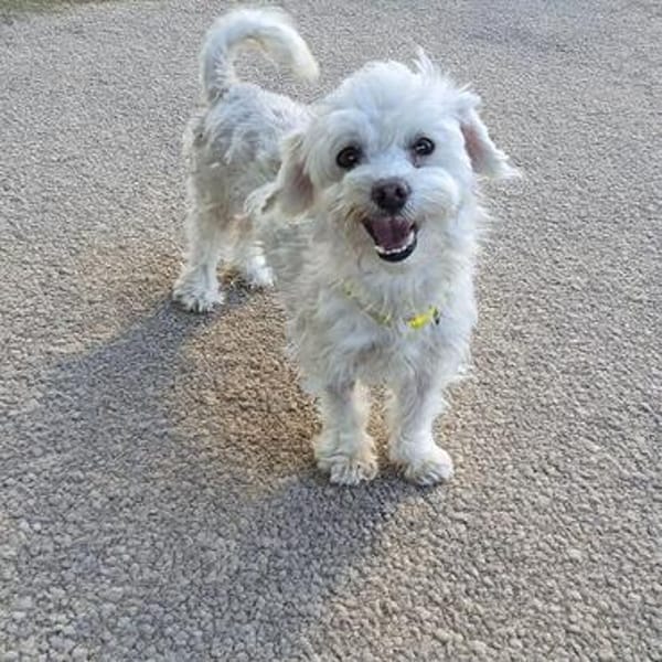 Kleine Sasha sucht Liebe und Geborgenheit (E)