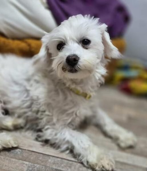 Kleine Sasha sucht Liebe und Geborgenheit (E)