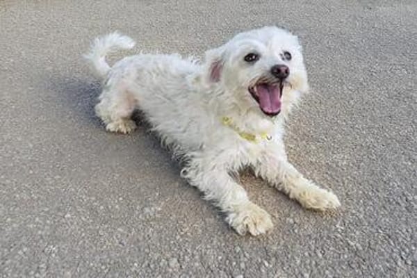 Kleine Sasha sucht Liebe und Geborgenheit (E)