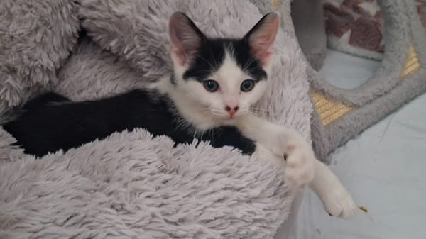 BOUNTY A trouvé sa famille