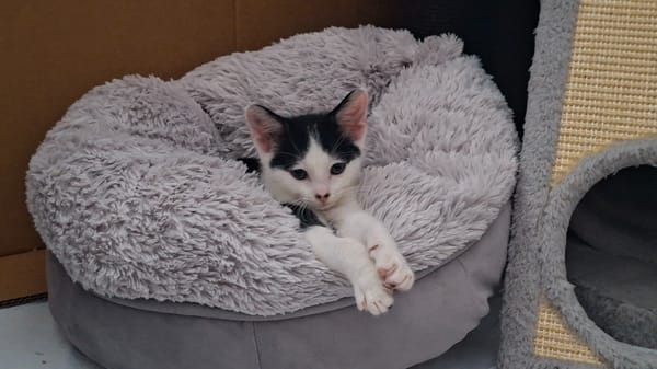 BOUNTY A trouvé sa famille