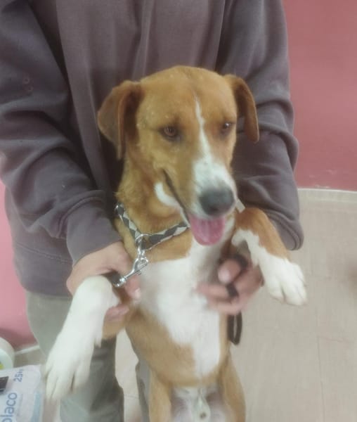 MILO (Maria)