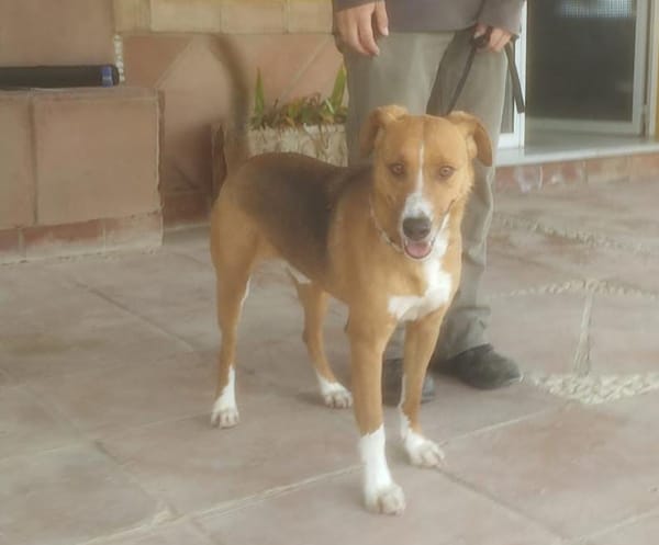 MILO (Maria)