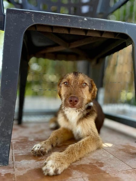 RUBBLE (Maria)