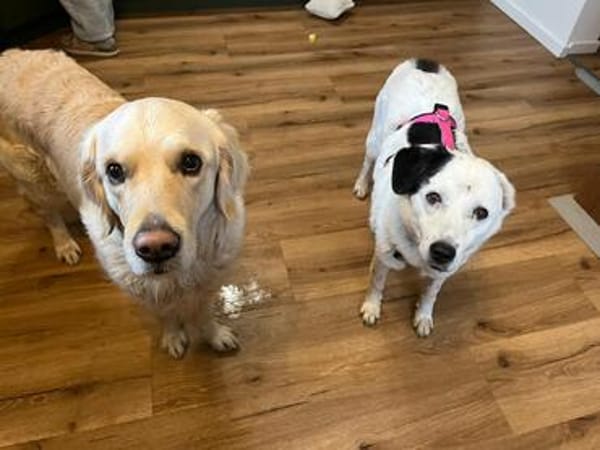 liebe, freundliche Seniorin CARLA