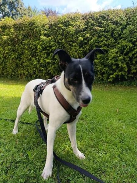 Lebenslustiges Mädchen sucht ihr Glück
