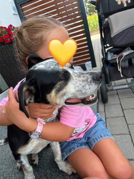 Trudi, sanfte Herzenshündin, ca. 7 Jahre