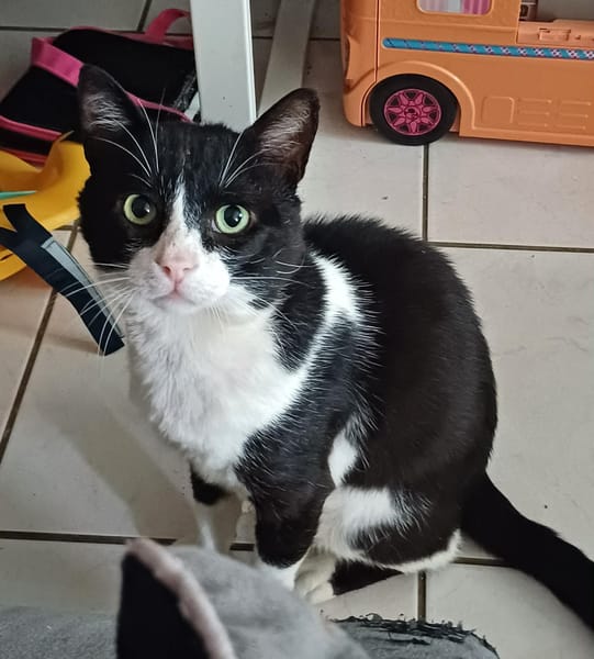 Yeoman