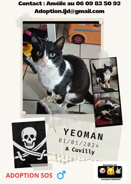 Yeoman