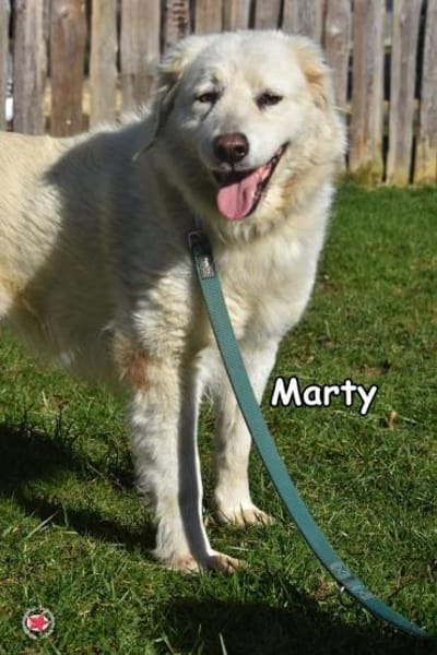 MARTY