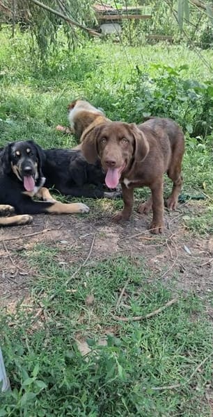 Süsse Hazel sucht eine Familie